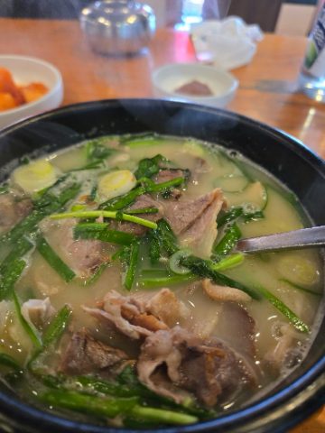 부산 고신대 영도캠퍼스 마지막 선교 사역