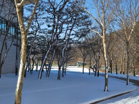 전국 sfc 리더 수련회