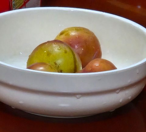 여름아웃리치 사역 스케치