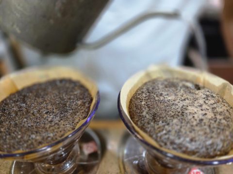 토요 핸드드립 커피 전도 스케치-8월 9일